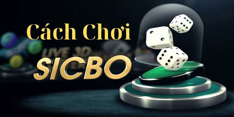 Luật chơi Sicbo tại Kuwin