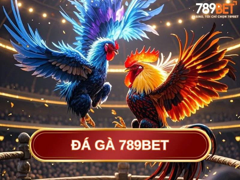 Ưu điểm của sảnh đá gà 789BET