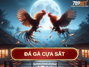 đá gà cựa sắt